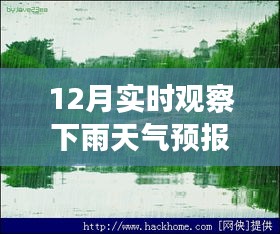 十二月的魔法時刻，雨中探索自然美景，與內(nèi)心的寧靜共舞的天氣之旅