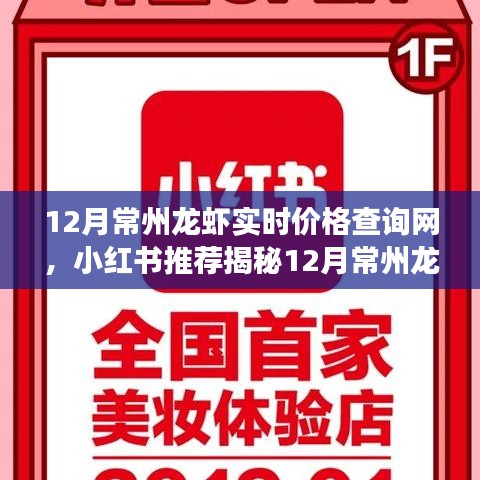 揭秘十二月常州龍蝦最新實(shí)時(shí)價(jià)格查詢攻略，小紅書推薦，輕松掌握市場(chǎng)走勢(shì)