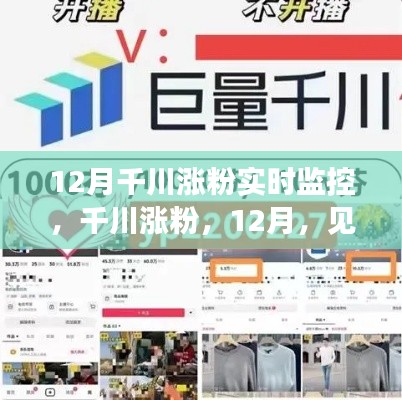 見證學習與變化的魔力時刻，千川漲粉實時監(jiān)控，千川漲粉，十二月粉絲增長報告