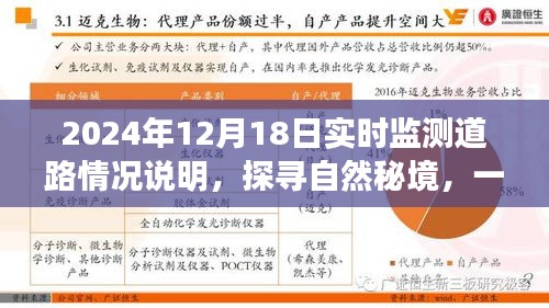 探尋自然秘境的心靈之旅，2024年12月18日實時監(jiān)測道路情況深度解析