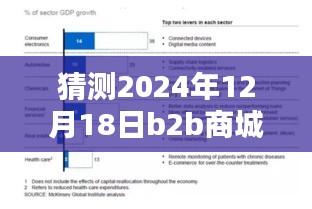深度評(píng)測(cè)，預(yù)測(cè)與解析2024年12月18日B2B商城實(shí)時(shí)票據(jù)特性、體驗(yàn)、競(jìng)品對(duì)比及用戶群體分析