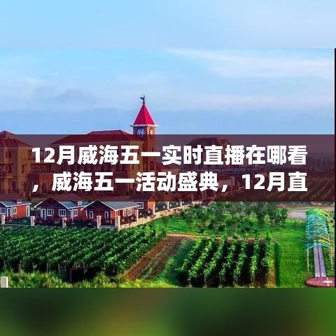 威海五一盛典直播回顧與活動影響力深度探討，直播盛宴與影響探索