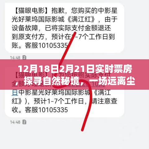 探尋自然秘境的心靈之旅，揭秘實時票房熱議背后的故事