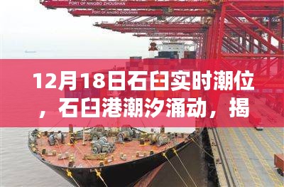 揭秘石臼港潮汐涌動，12月18日實時潮位深度解析