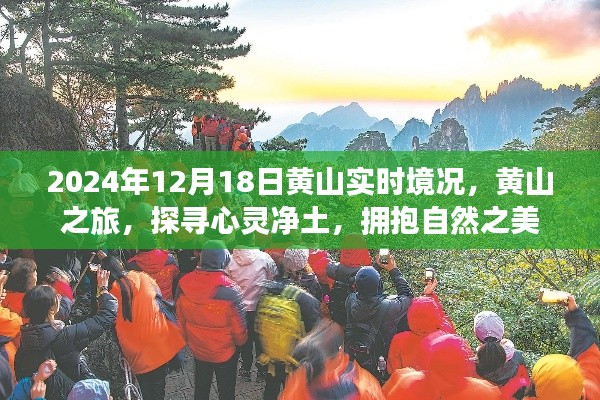 黃山之旅，探尋心靈凈土，擁抱自然之美——2024年12月18日黃山實時境況記錄