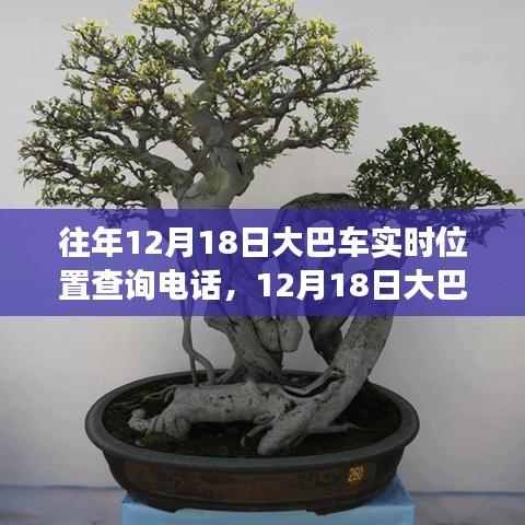 技術(shù)革新與出行變革，追溯大巴車定位查詢熱線的發(fā)展歷程