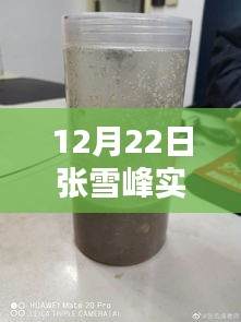 張雪峰老師12月22日實時動態(tài)報名指南，適合初學者與進階用戶的報名步驟全解析