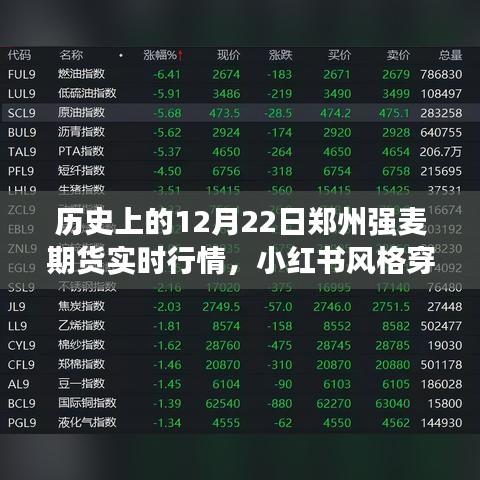 揭秘鄭州強(qiáng)麥期貨行情巔峰時刻，歷史上的特殊日子實時行情回顧——小紅書風(fēng)格穿越時光