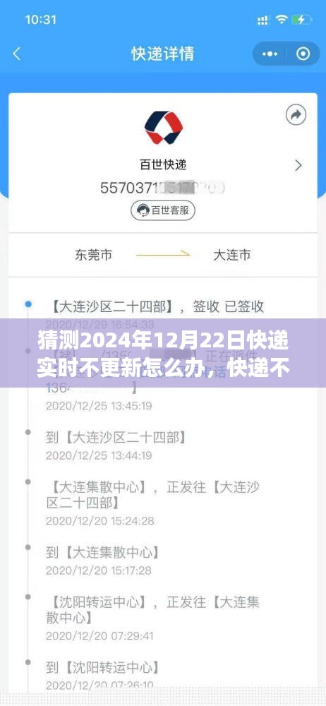 快遞實時更新故障應對指南，快遞不更新？日常冒險之旅中的溫馨解決方案