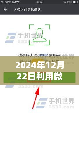 微信實(shí)時(shí)輸入數(shù)據(jù)庫(kù)操作指南，從初學(xué)者到進(jìn)階用戶的全面指南（2024年12月22日更新）