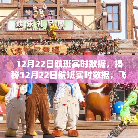 揭秘航班實時數(shù)據(jù)，科技視角下的飛行之旅洞察（12月22日）