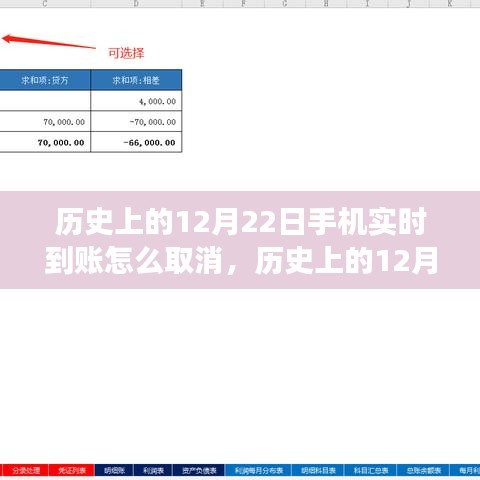 歷史上的12月22日手機(jī)實(shí)時(shí)到賬功能取消詳解與操作指南