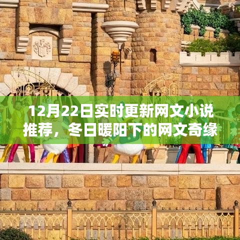 冬日暖陽下的溫馨網(wǎng)文奇緣，實(shí)時(shí)更新小說推薦