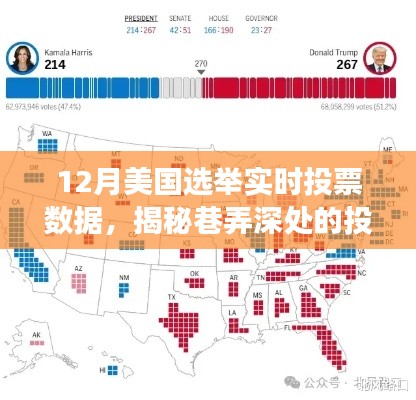 揭秘美國選舉風(fēng)云，巷弄深處的投票數(shù)據(jù)寶藏親歷之旅