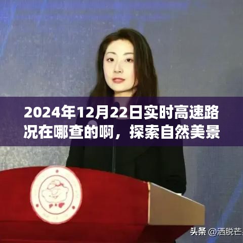 探索自然美景之旅，實時高速路況查詢指南與尋找內心平靜的旅程