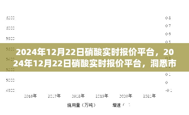 洞悉市場動態(tài)，掌握行業(yè)趨勢，2024年12月22日硝酸實時報價平臺