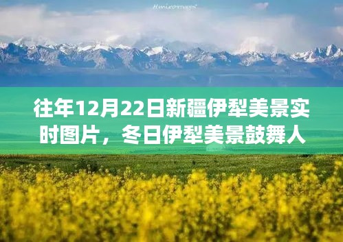 冬日伊犁美景鼓舞人心，學(xué)習(xí)之旅中的自信與成就感實時圖片展示