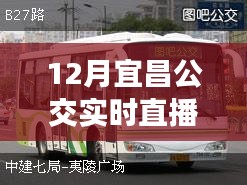 掌握出行信息必備，宜昌公交實時直播電話在線直播服務(wù)啟動
