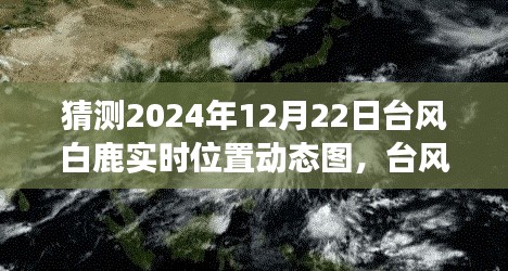 臺風(fēng)白鹿來襲，冒險之旅中的自信閃耀與實(shí)時動態(tài)圖預(yù)測學(xué)習(xí)筆記