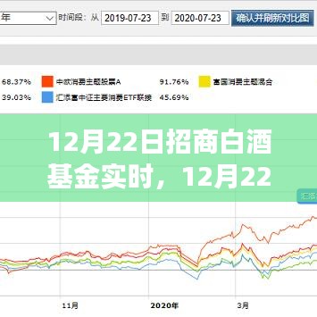 12月22日招商白酒基金實(shí)時(shí)走勢(shì)分析與投資洞察，洞悉白酒行業(yè)最新動(dòng)態(tài)及投資機(jī)會(huì)