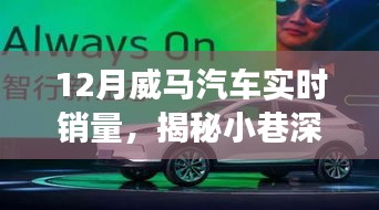 揭秘威馬汽車銷量背后的秘密故事，小巷深處的風景與隱藏式特色小店，實時銷量分析十二月篇