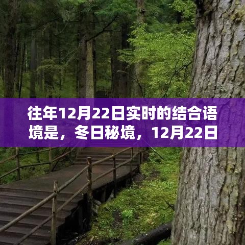 冬日秘境，與自然共舞的日子，12月22日的魔法時刻