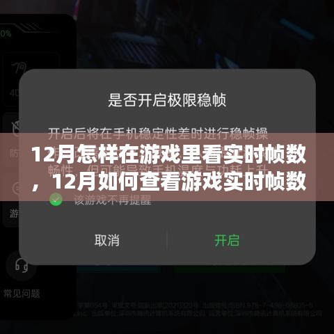 詳細(xì)步驟指南，如何查看游戲?qū)崟r(shí)幀數(shù)（適用于十二月）