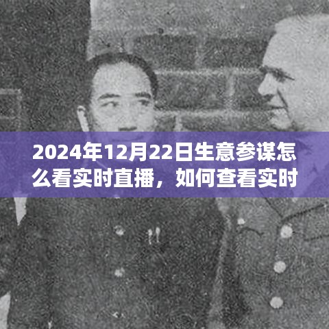 2024年生意參謀全方位指南，實時直播數(shù)據(jù)查看與解讀