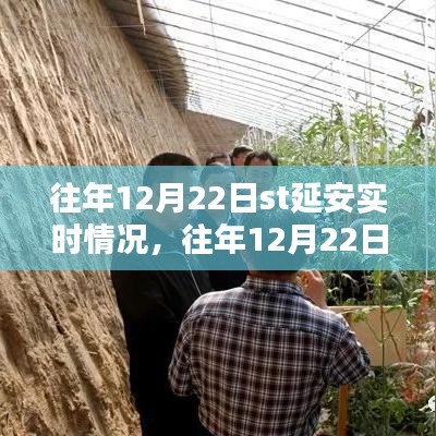 往年12月22日ST延安實(shí)時(shí)情況詳解，掌握攻略，輕松完成任務(wù)！