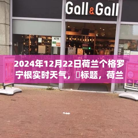 荷蘭格羅寧根實(shí)時(shí)天氣探索，追尋自然美景與心靈寧?kù)o的奇妙之旅（2024年12月22日）