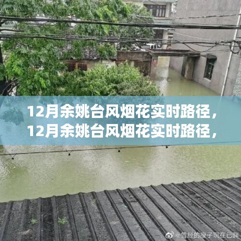 深度解析與前沿觀察，12月余姚臺(tái)風(fēng)煙花實(shí)時(shí)路徑追蹤