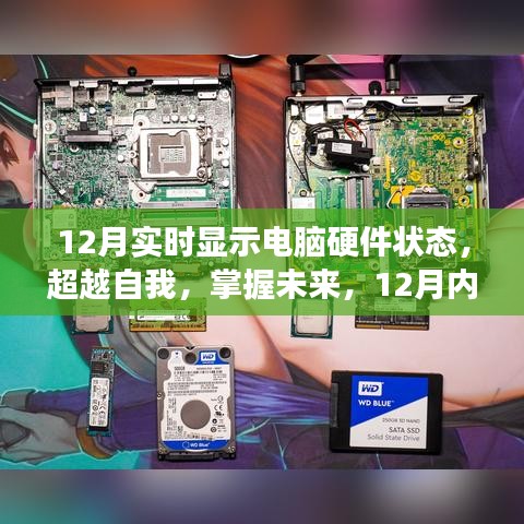 超越自我，實(shí)時(shí)掌握電腦硬件狀態(tài)，開啟自信成長(zhǎng)之旅