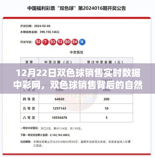 探索雙色球銷售背后的自然之旅，內(nèi)心平靜的奇妙旅程揭秘（實時數(shù)據(jù)解析）