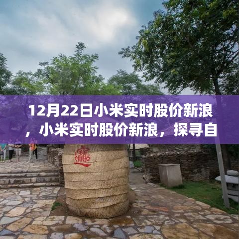 小米實(shí)時(shí)股價(jià)新浪與探尋自然美景之旅，心靈寧?kù)o的力量