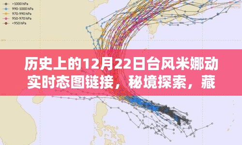 臺(tái)風(fēng)米娜動(dòng)態(tài)追蹤與秘境探索，巷陌特色小店奇妙邂逅