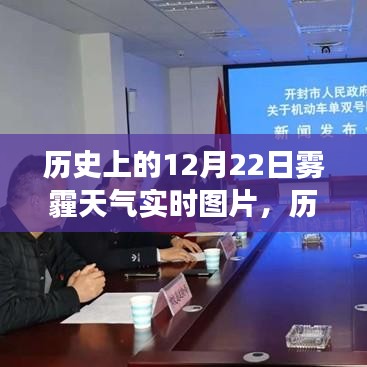 鳥覆危巢 第4頁