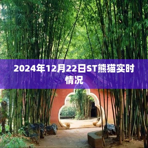 ST熊貓實時動態(tài)，最新消息與走勢分析