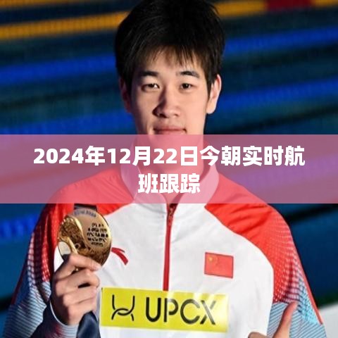 實時航班跟蹤信息（2024年12月22日）