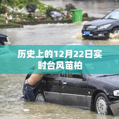實時臺風苗柏歷史記錄，12月22日情況概述