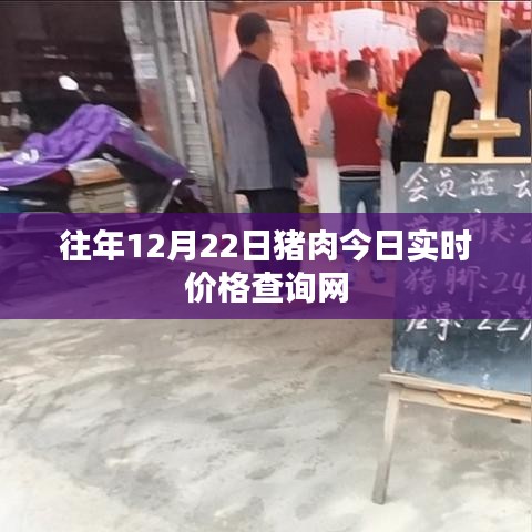 最新豬肉實時價格查詢網(wǎng)，今日更新