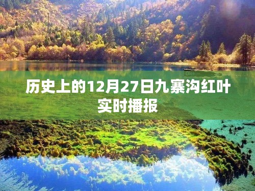偷工減料 第4頁