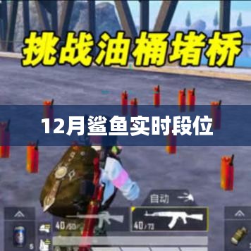鯊魚實時段位更新，揭秘12月排行榜，符合字數(shù)要求，簡潔明了，能夠準確概括您提供的內(nèi)容，有利于在百度上被用戶搜索到。