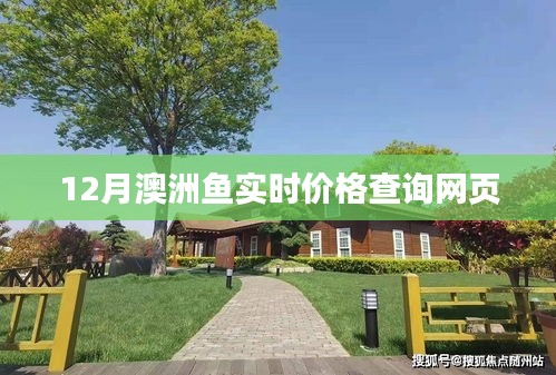 澳洲12月魚類實時價格在線查詢
