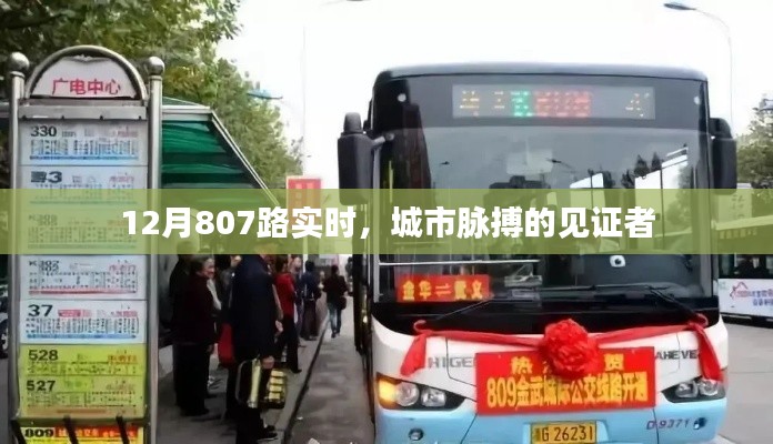 城市脈搏見證者，12月807路實時動態(tài)
