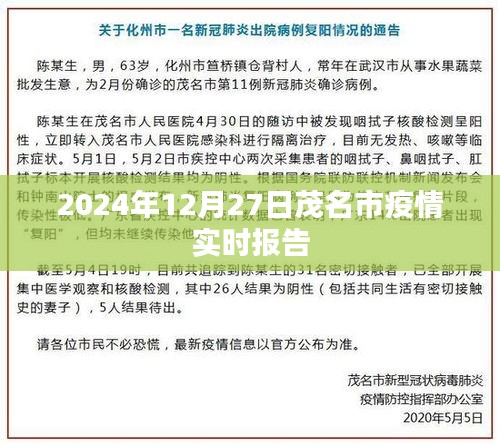 茂名市疫情實時報告，最新數(shù)據(jù)及分析（日期，XXXX年XX月XX日）