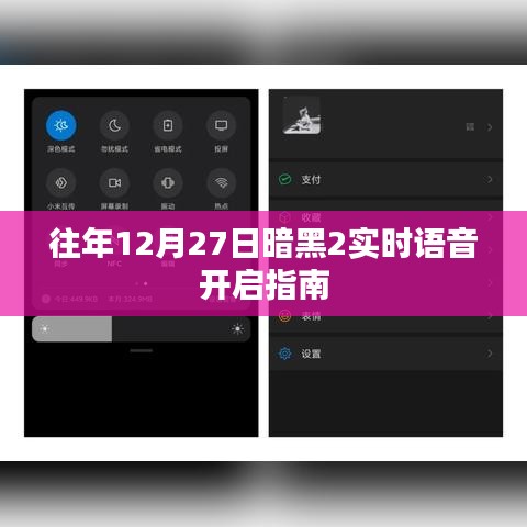 暗黑2實(shí)時(shí)語(yǔ)音開啟指南，往年12月27日操作指南