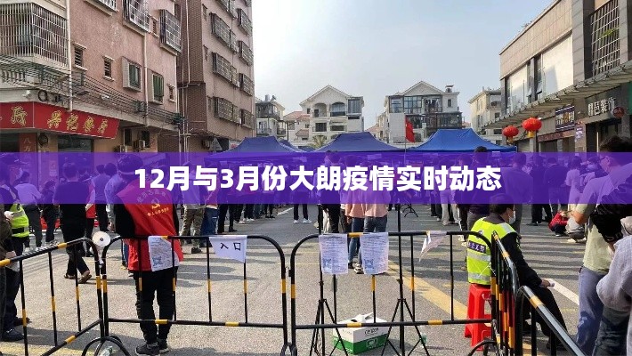 笨鳥先飛 第5頁