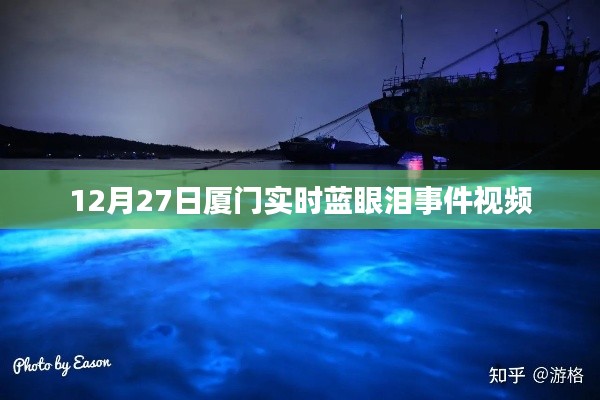 廈門藍(lán)眼淚事件實(shí)時(shí)視頻報(bào)道