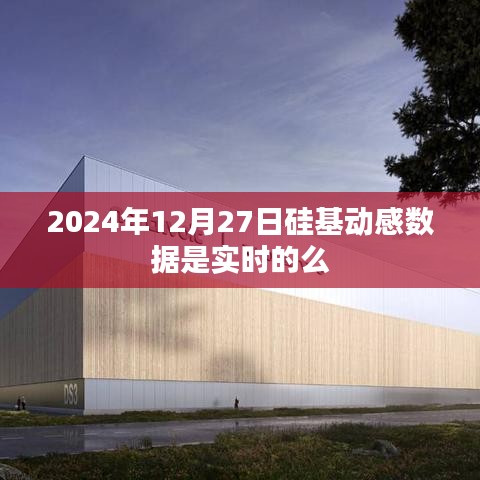 硅基動感數(shù)據(jù)實時性探討，2024年12月27日數(shù)據(jù)準(zhǔn)確性分析