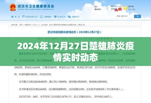 楚雄肺炎疫情實時動態(tài)更新（截至2024年12月27日）